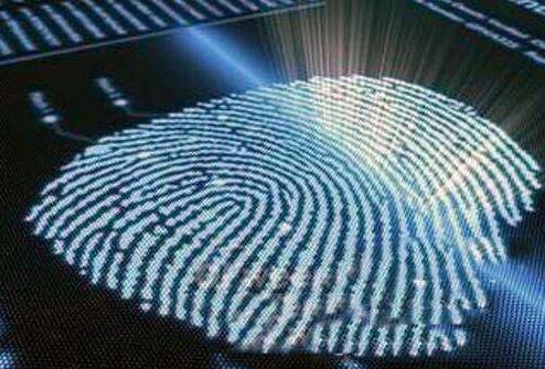 荷蘭科學家研發新型柔性高分辨率指紋識別傳感技術 荷蘭科學家研發新型柔性高分辨率指紋識別傳感技術